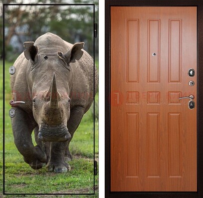 Металлическая дверь с фотопечатью носорога ДФ-31 В Ижевске