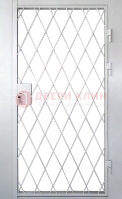 Стальная решетчатая дверь ДР-13 В Ижевске