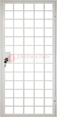 Белая металлическая решетчатая дверь ДР-2 В Ижевске